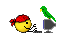 pirate_parrot